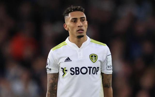 兰同样上演 兰同样上演