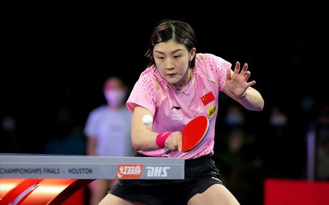 尼職業生涯 尼職業生涯