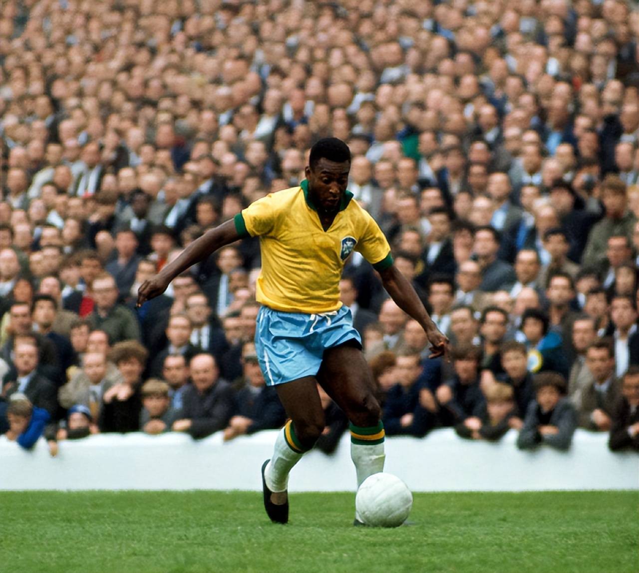 正式提交了 正式提交了